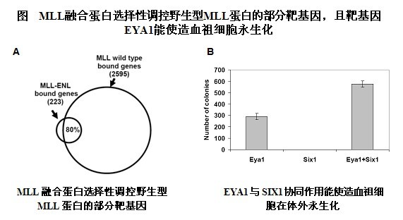 BG视讯·大游(集团)官方网站