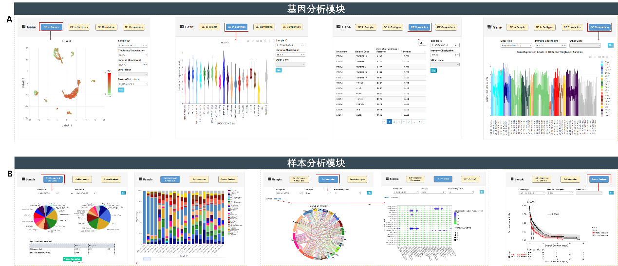 BG视讯·大游(集团)官方网站