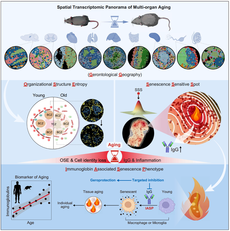 BG视讯·大游(集团)官方网站