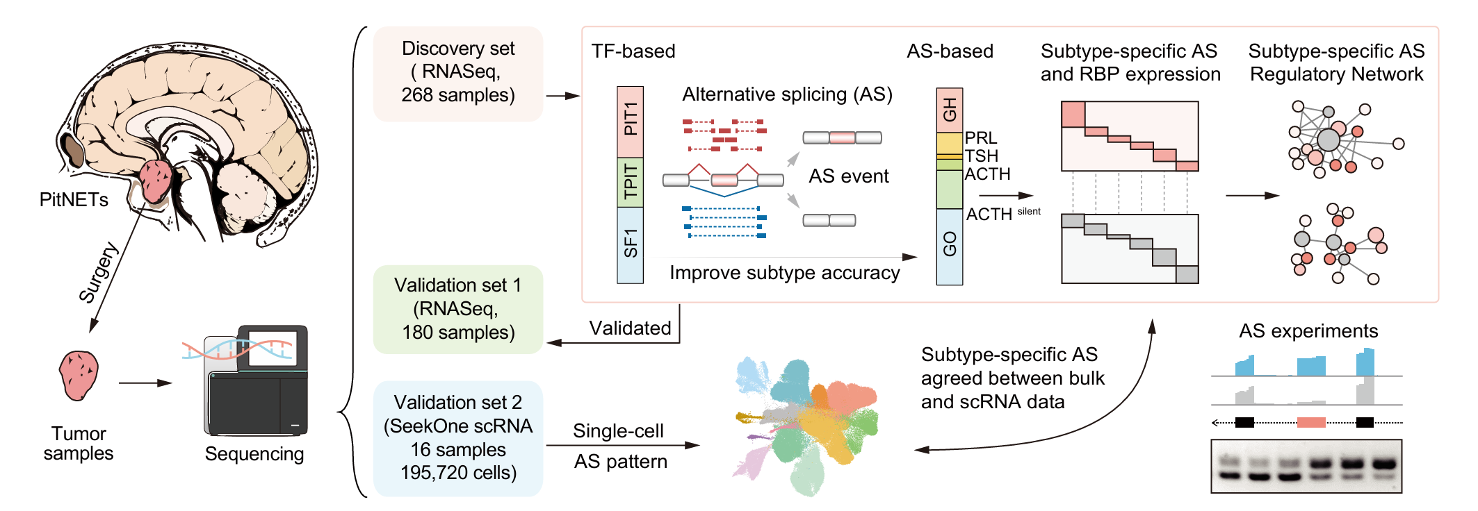 BG视讯·大游(集团)官方网站