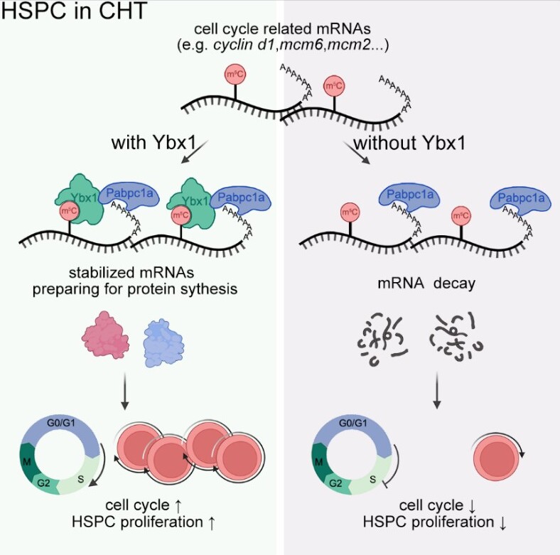 BG视讯·大游(集团)官方网站