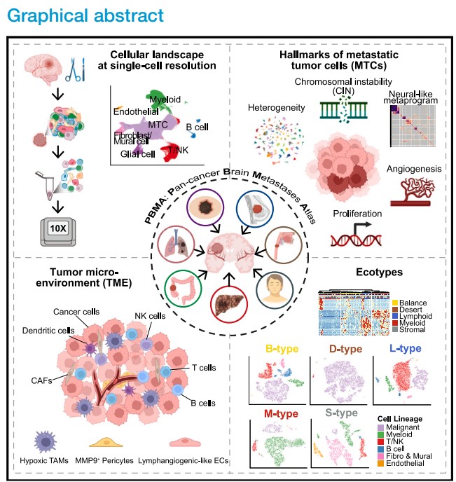 BG视讯·大游(集团)官方网站