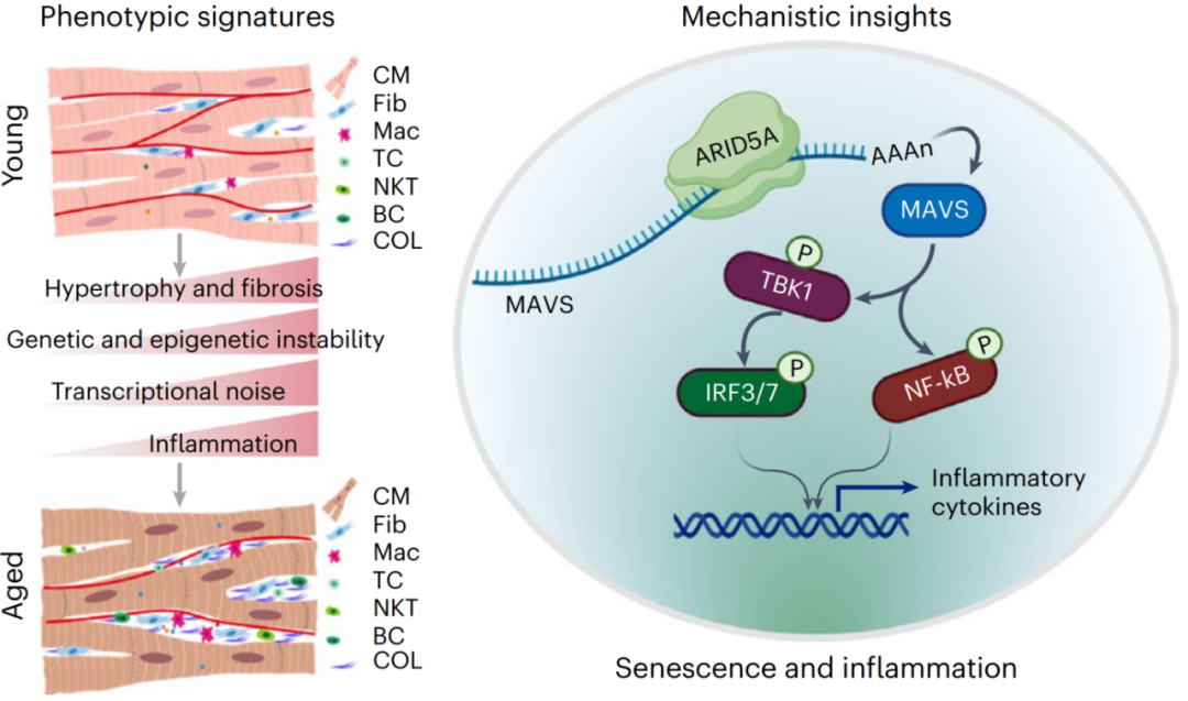 BG视讯·大游(集团)官方网站