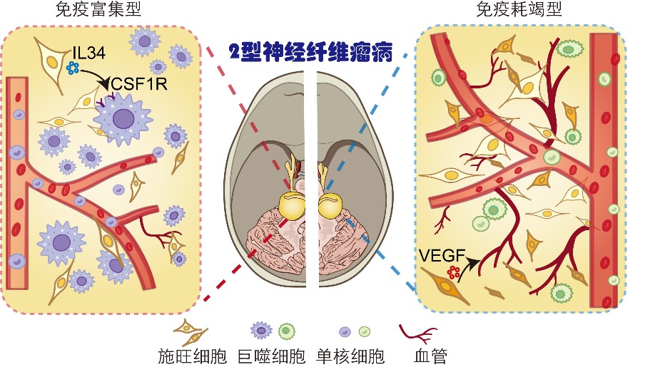 BG视讯·大游(集团)官方网站