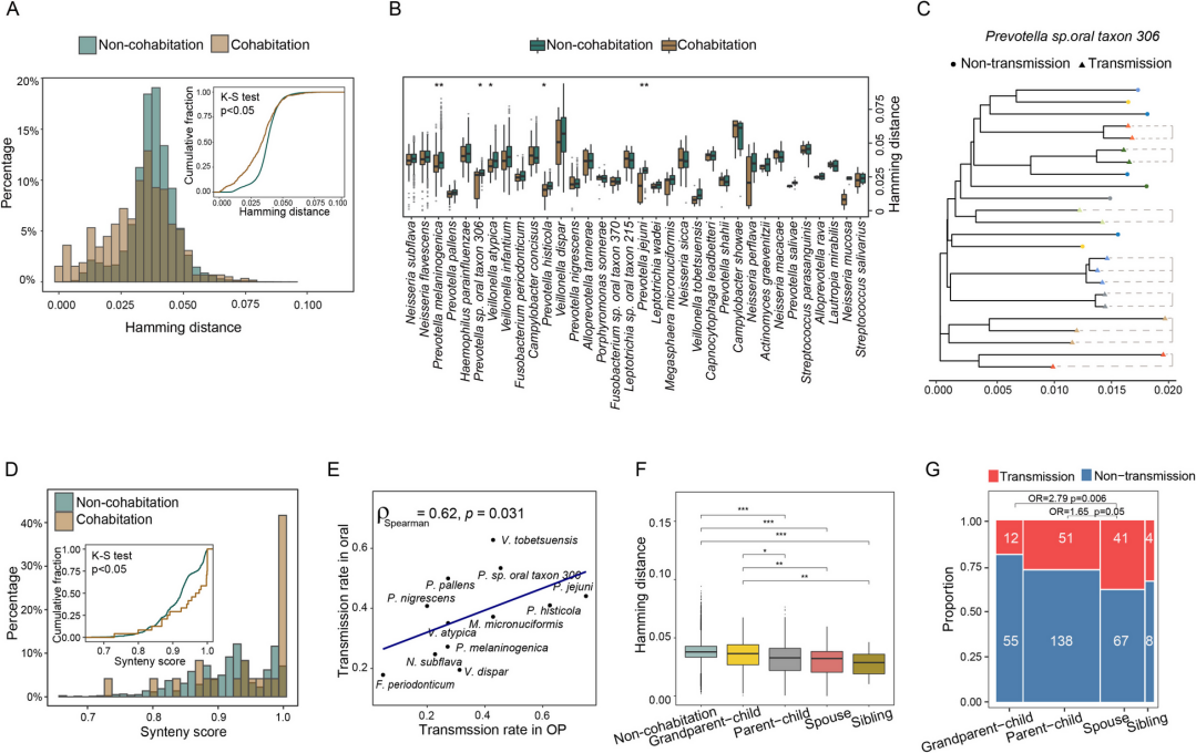 BG视讯·大游(集团)官方网站