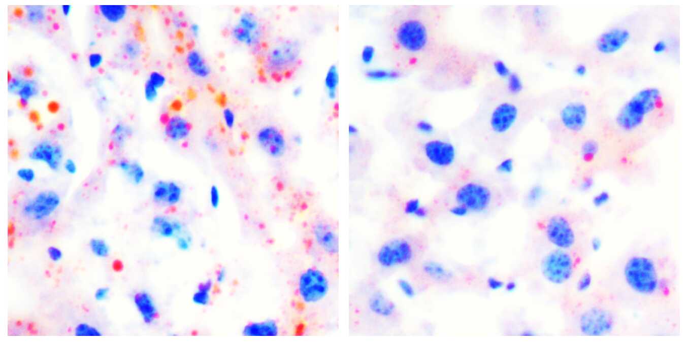 BG视讯·大游(集团)官方网站