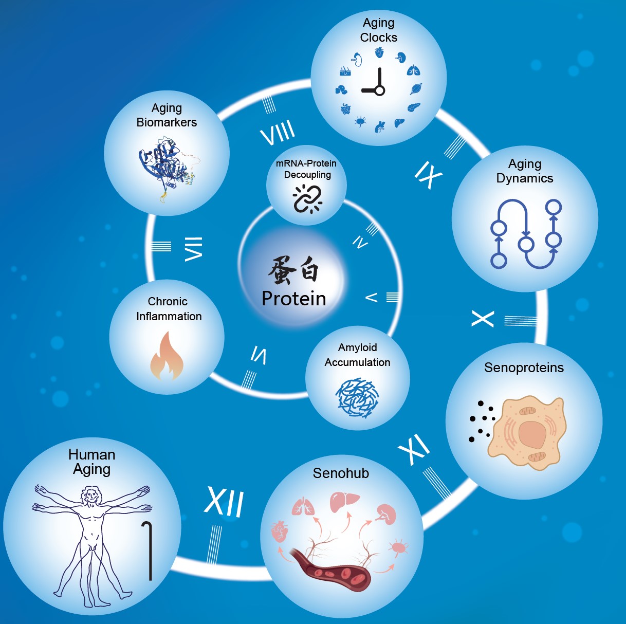BG视讯·大游(集团)官方网站