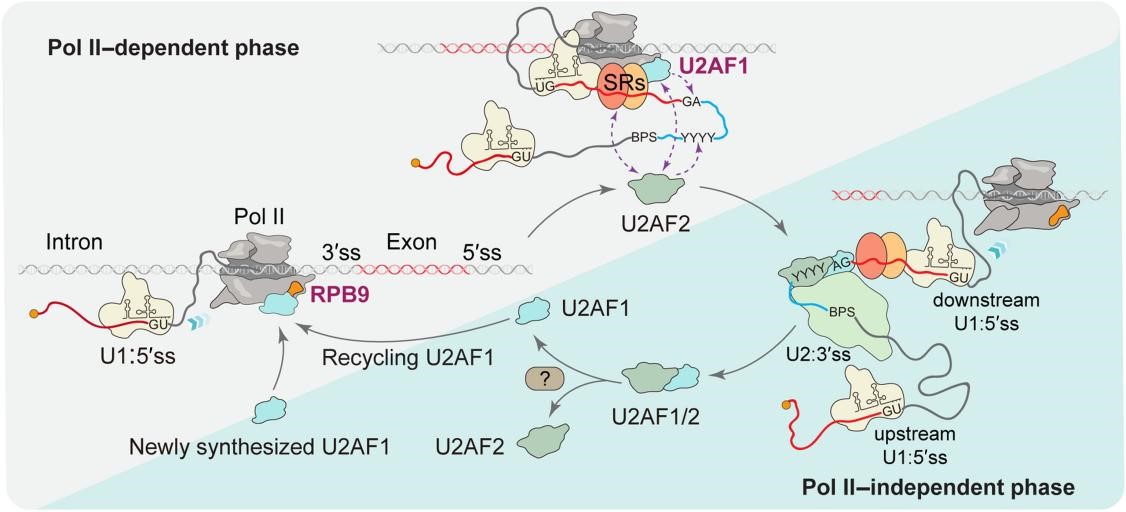 BG视讯·大游(集团)官方网站