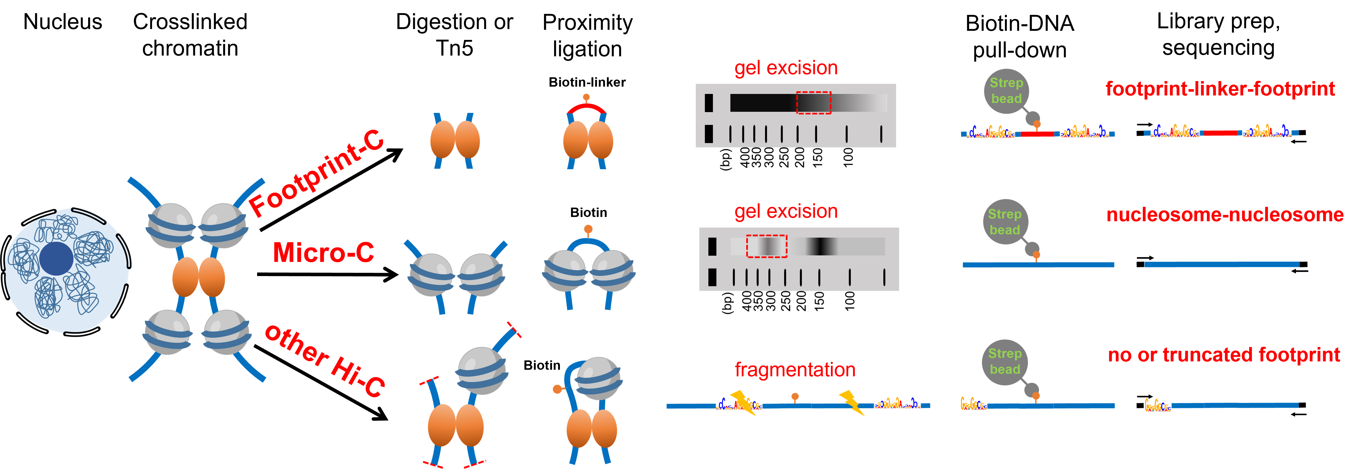 BG视讯·大游(集团)官方网站