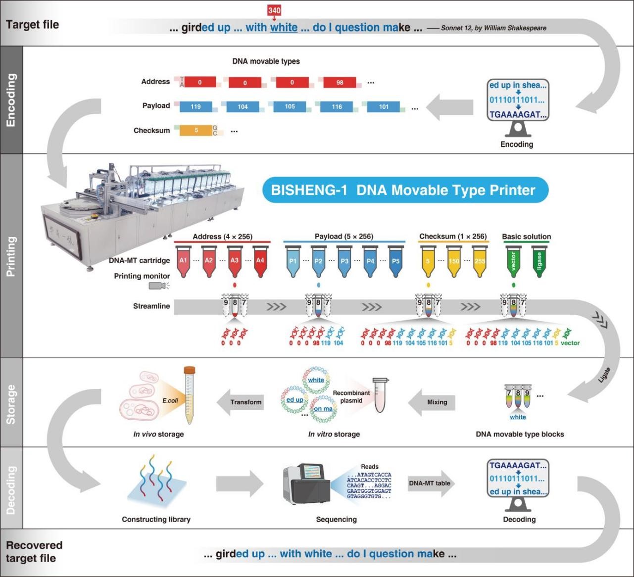 BG视讯·大游(集团)官方网站