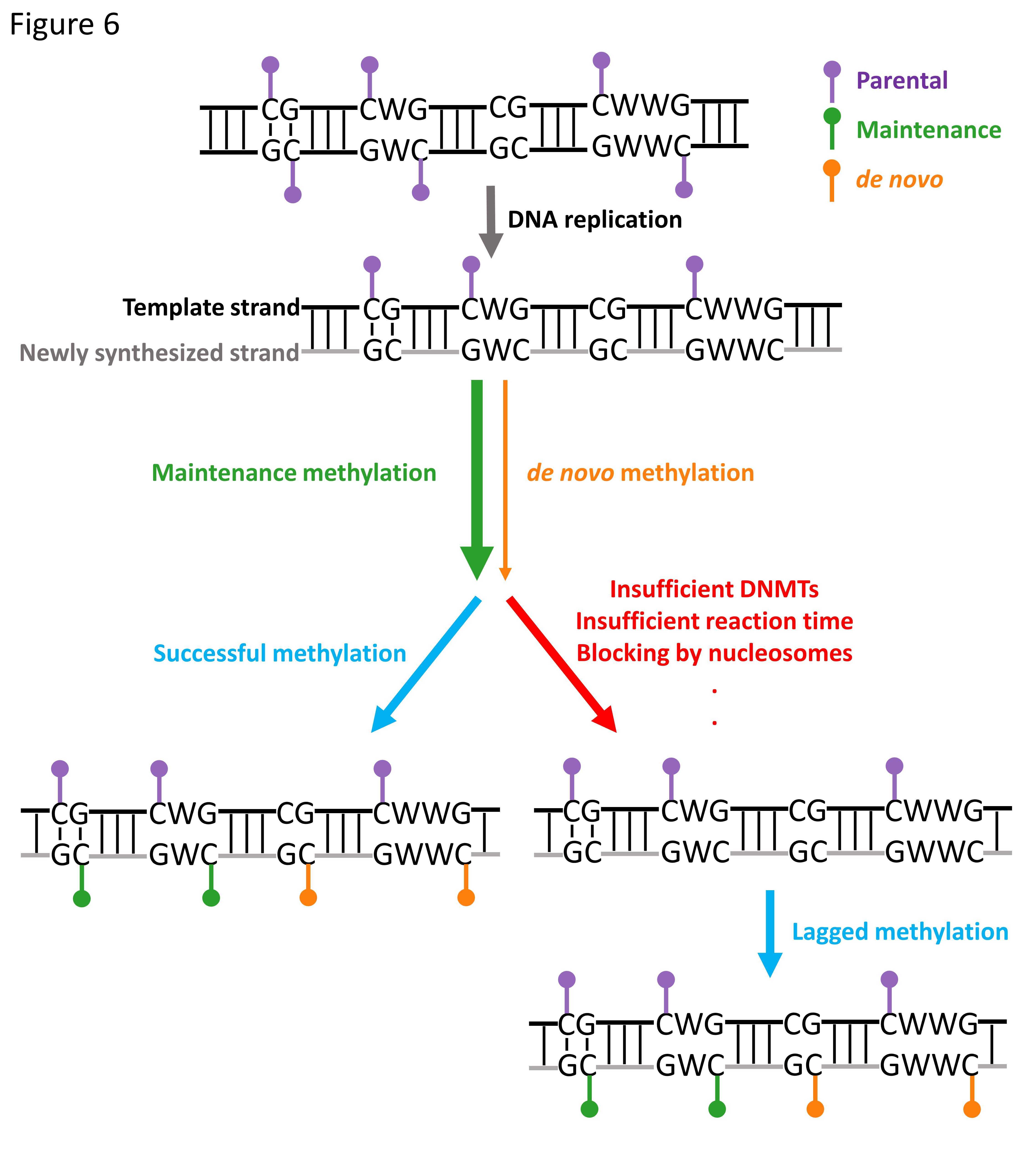 BG视讯·大游(集团)官方网站
