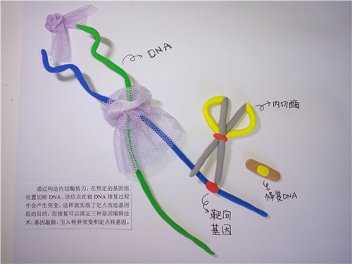 BG视讯·大游(集团)官方网站