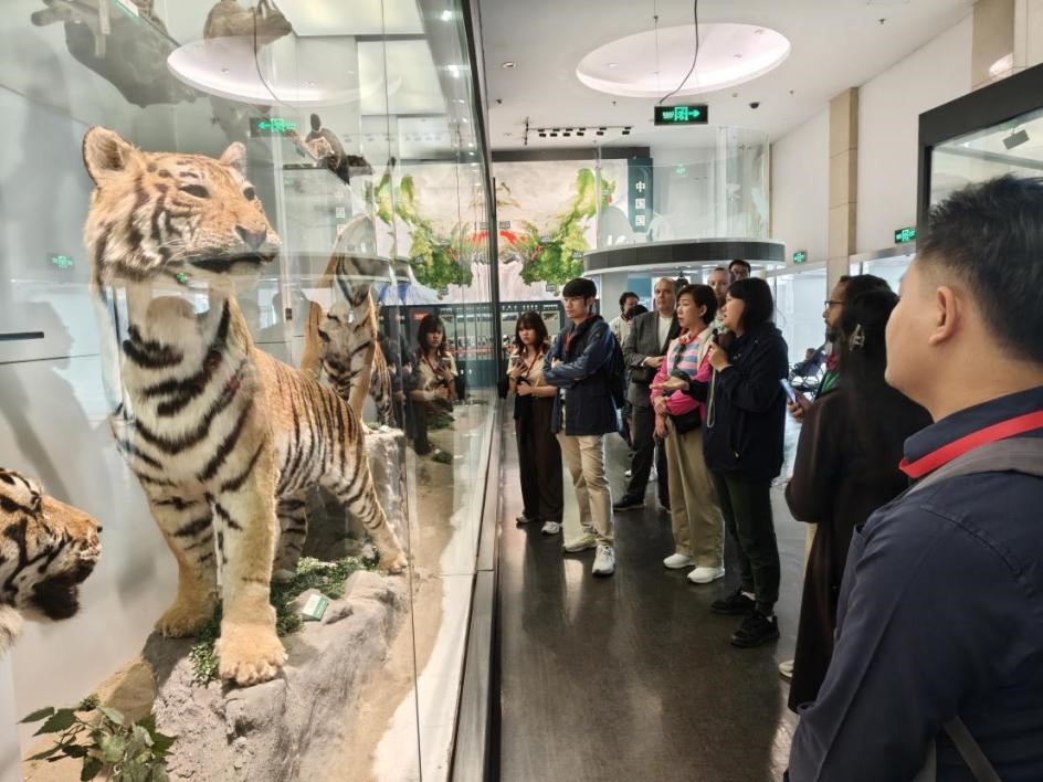 BG视讯·大游(集团)官方网站