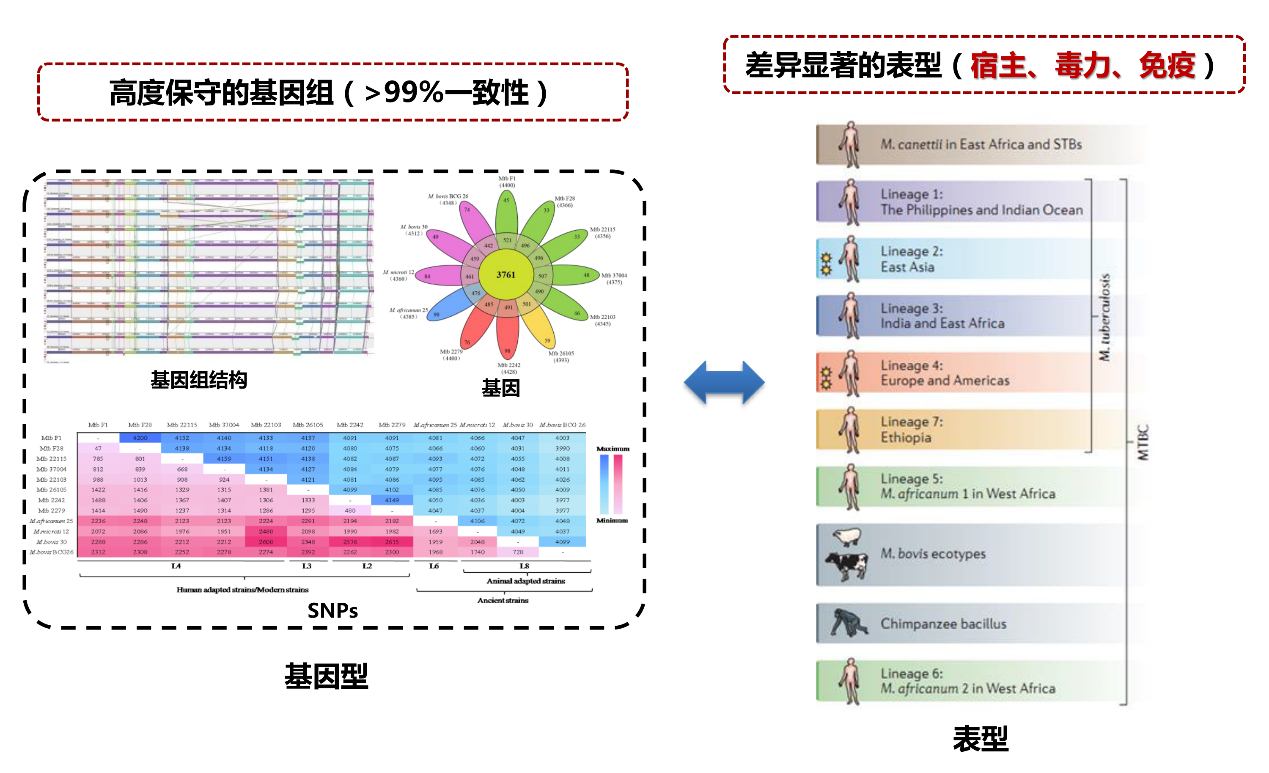 BG视讯·大游(集团)官方网站