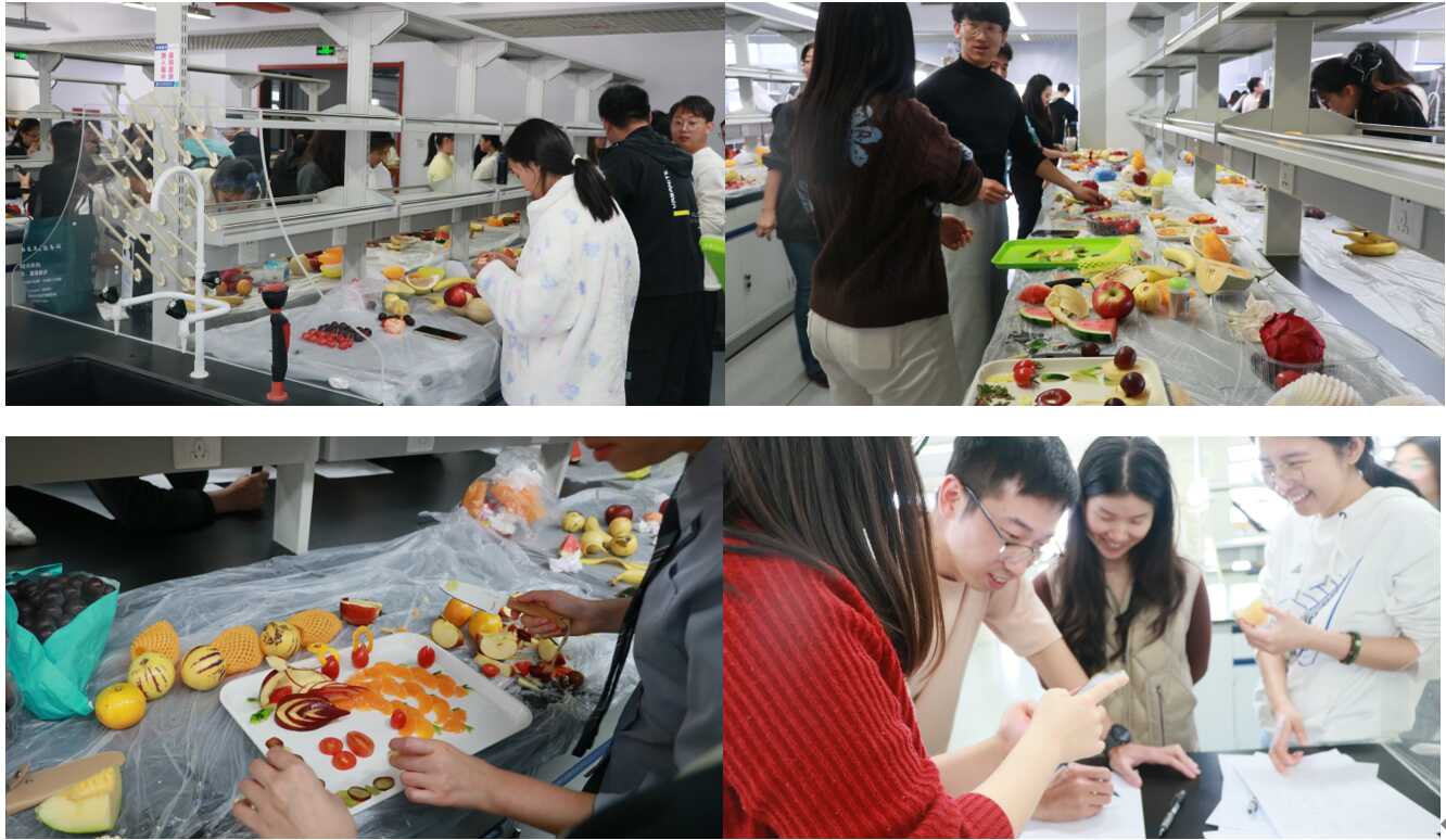 BG视讯·大游(集团)官方网站